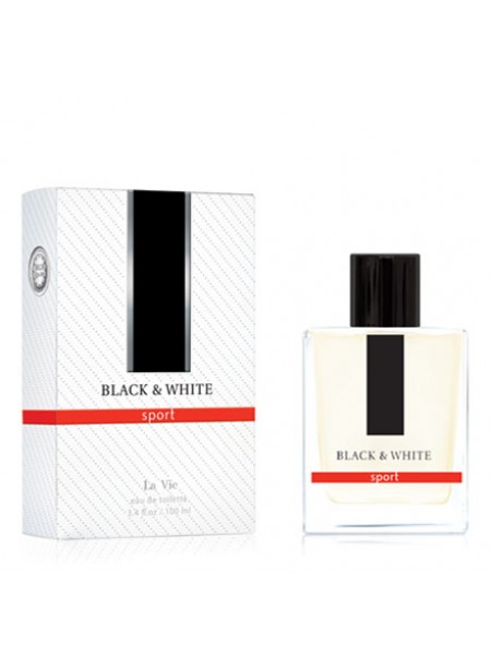 Т.вода М "Black & White" (Блэк энд Уайт) 100мл (версия Dior homme Sport / Dior)